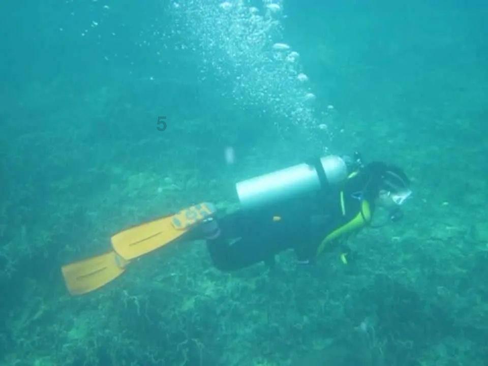 逃离泰莱森林